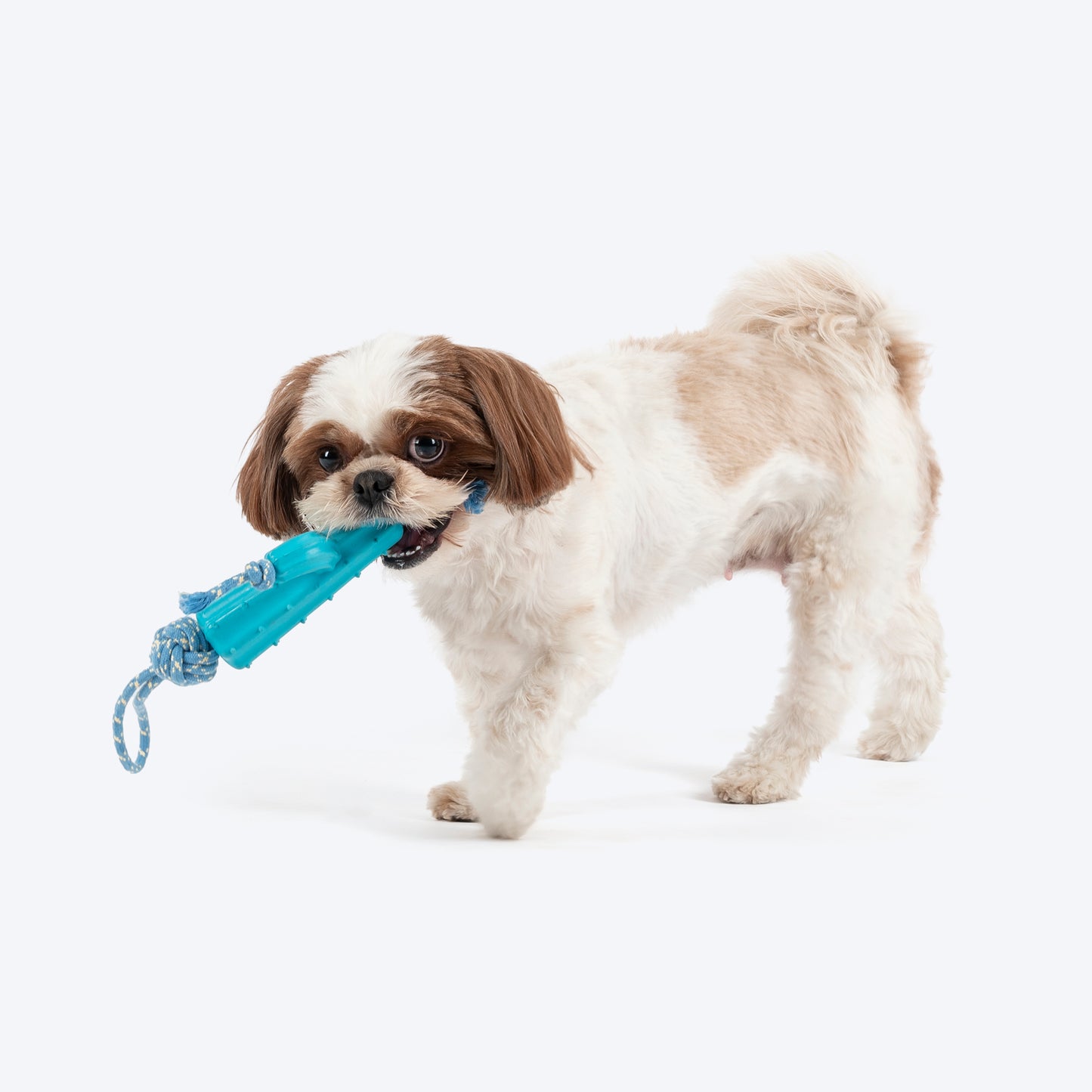 Dash Dog Texas Tug Rope Toy For Dog - White & Turquoise