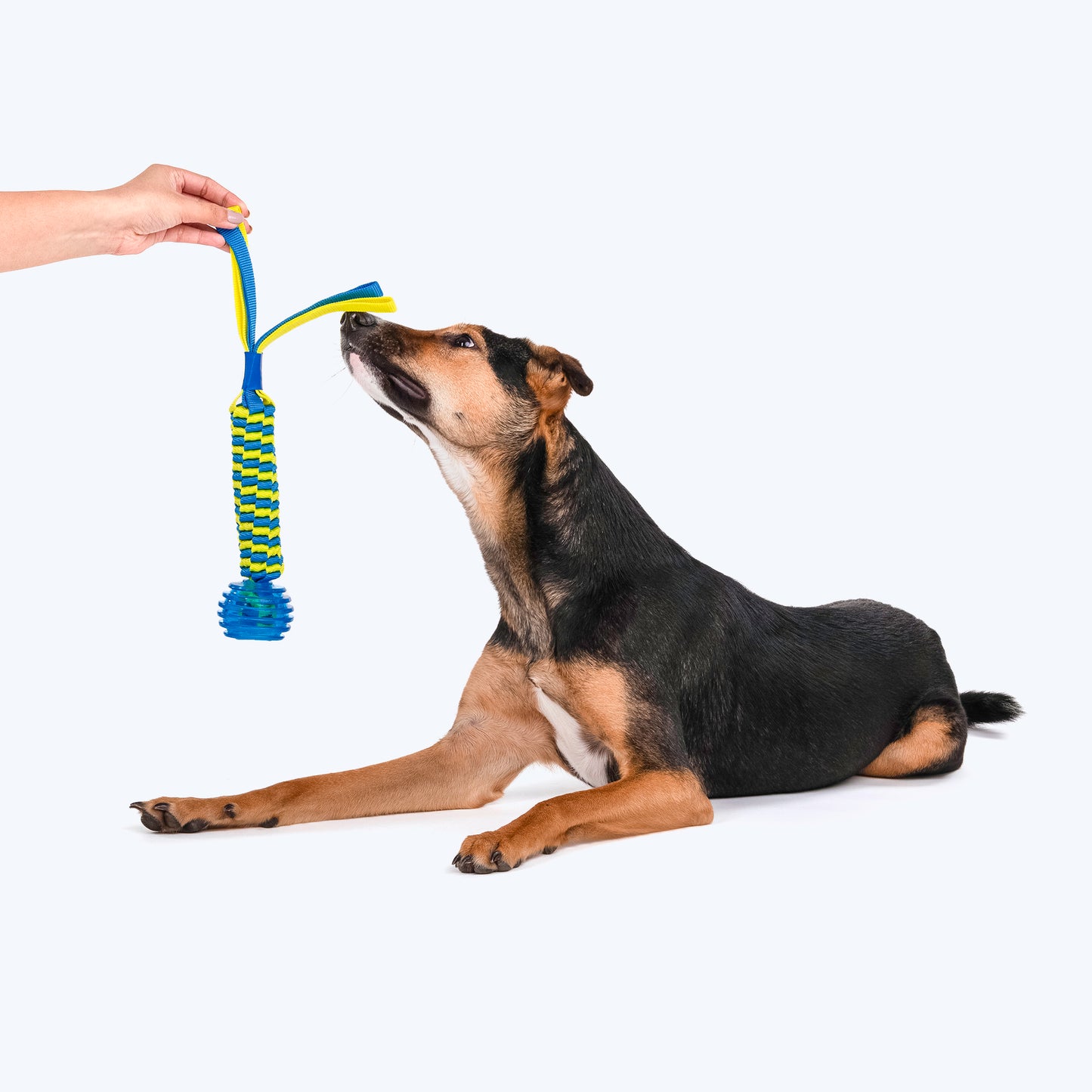 HUFT Swirly Strong Ball Toy for Dog - Heads Up For Tails