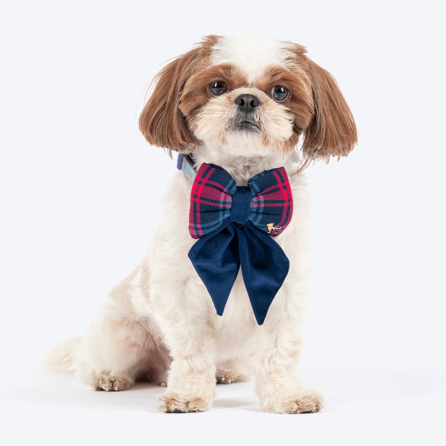 HUFT Santa Paws Bow Tie For Dog - Royal Blue