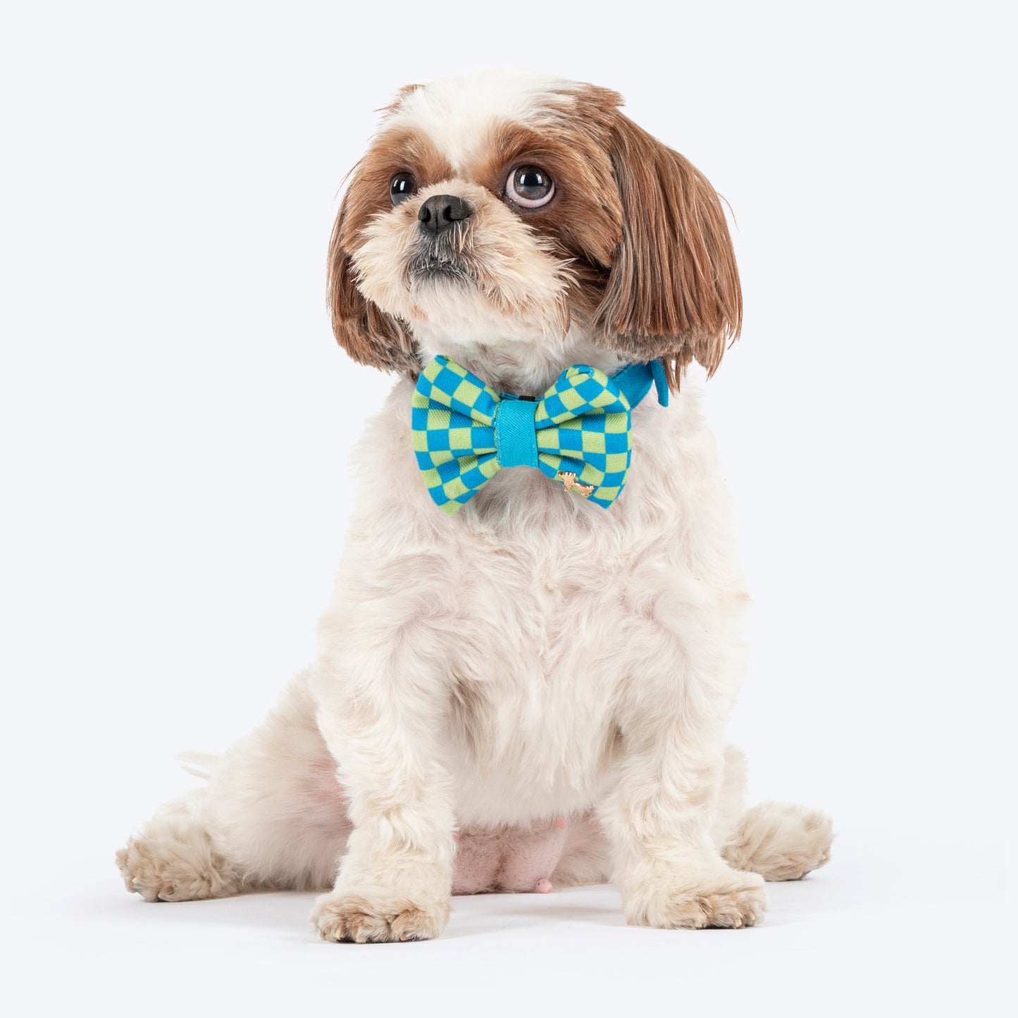 HUFT Pawsitevely Checked Bow Tie With Strap For Dog - Arctic Blue_02