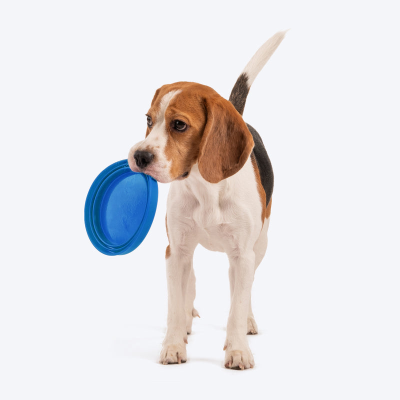 HUFT Collapsible Travel Bowl For Dog & Cat - Blue