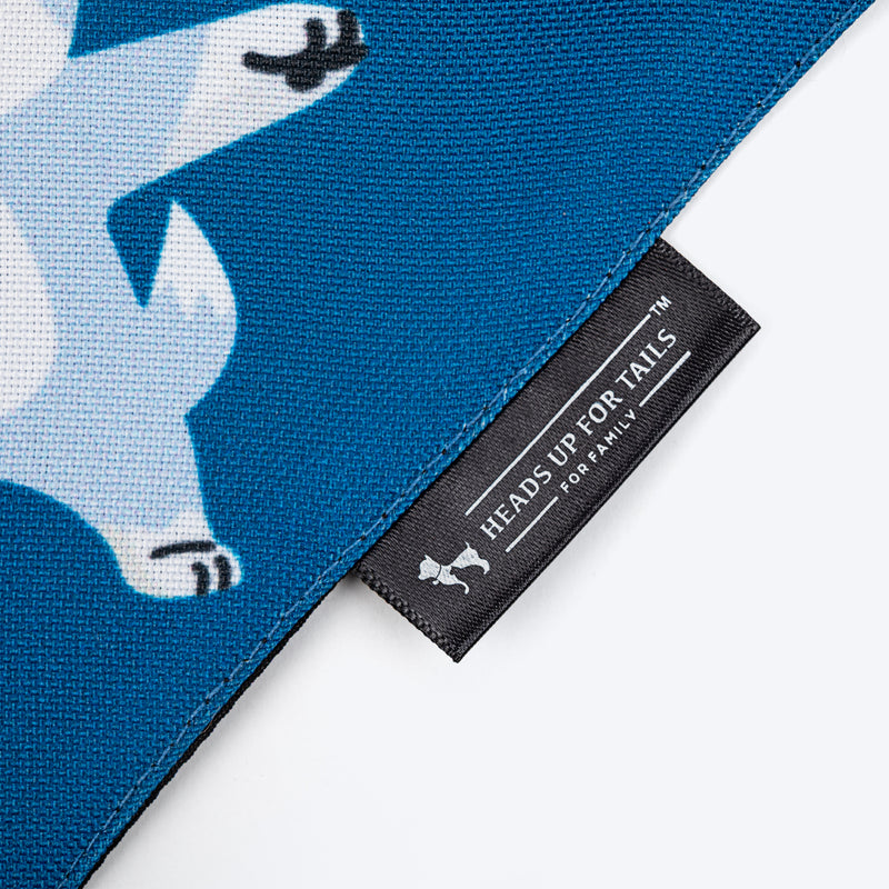 HUFT The Real Boss Bandana For Dog - Blue - Heads Up For Tails
