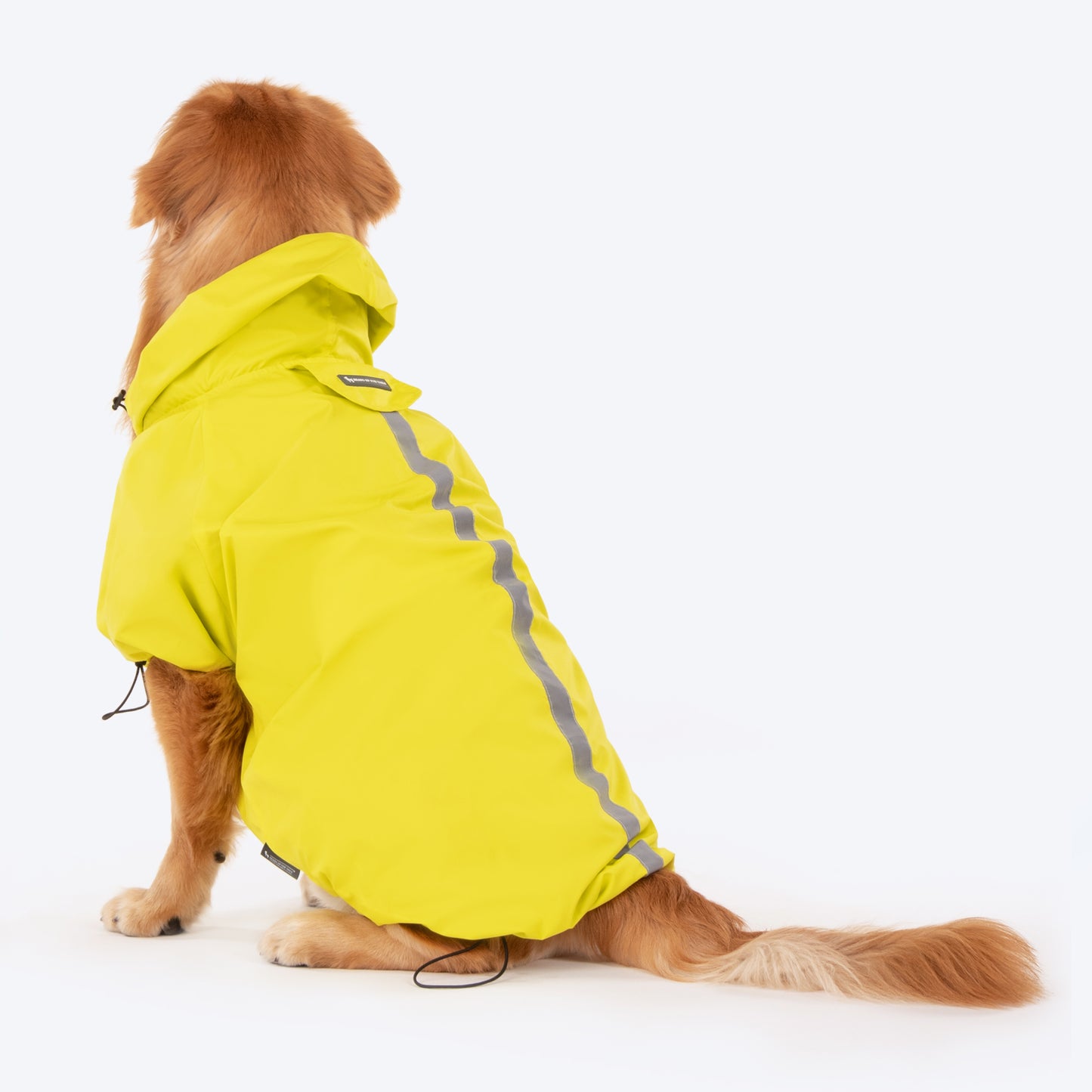 HUFT Customised Magical Mist Dog Raincoat_03