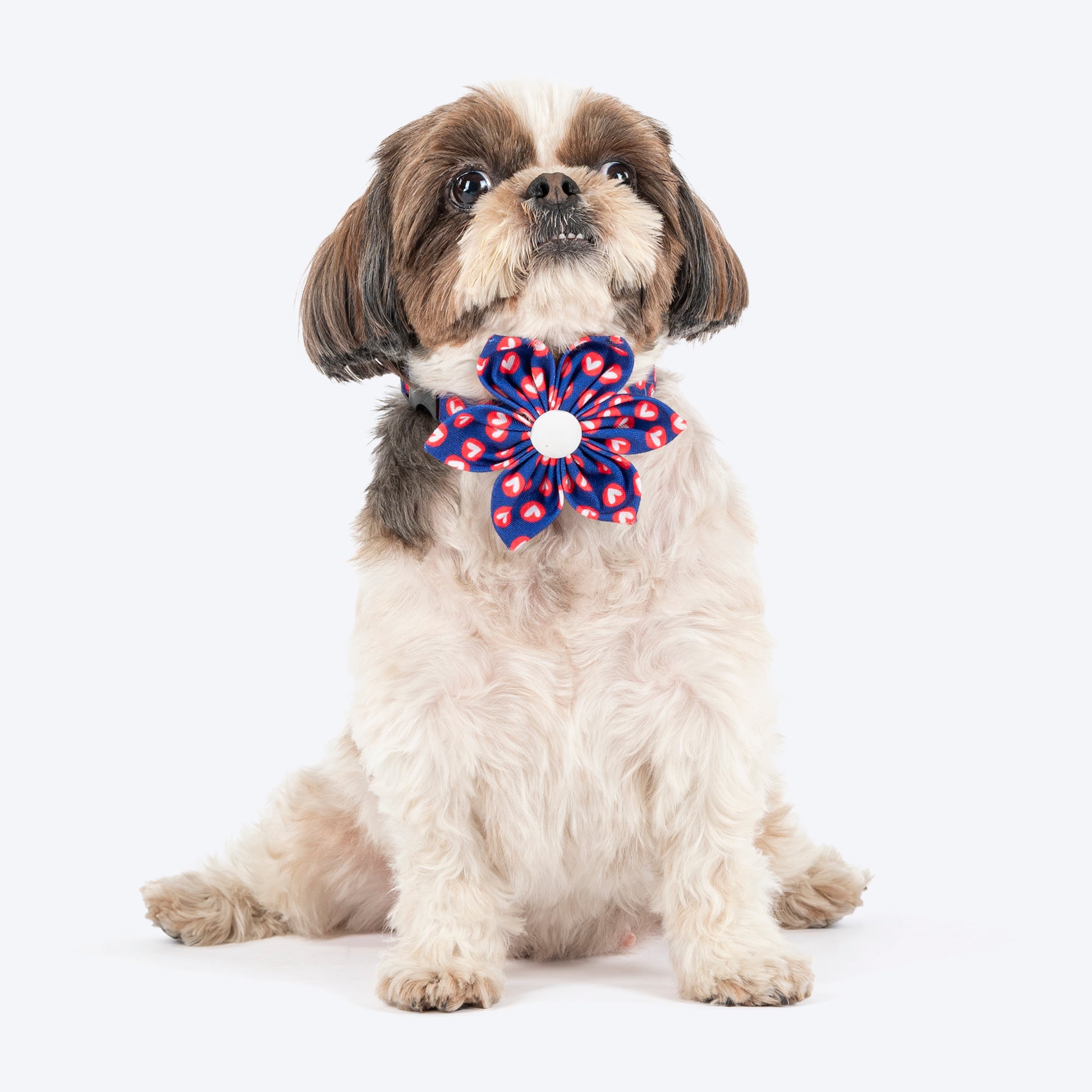 HUFT Heartpop Printed Bow Tie With Strap For Dog - Blue_02