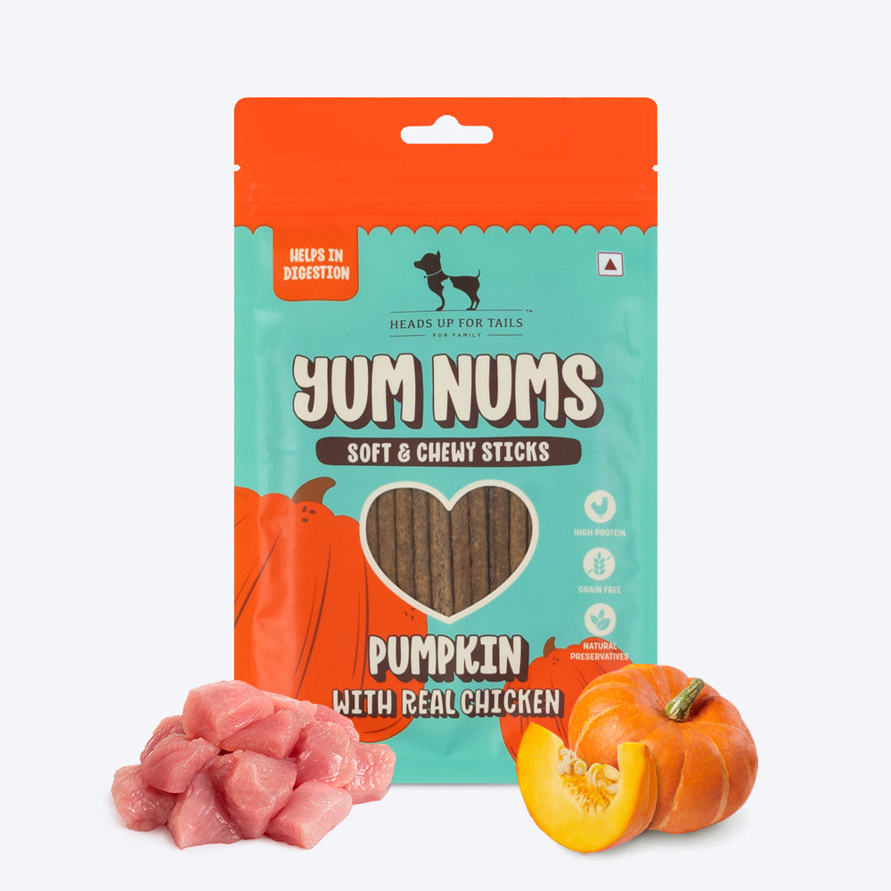 HUFT Wholesome Chicken, Brown Rice Food & Yum Nums Pumpkin Treats Combo For Dog