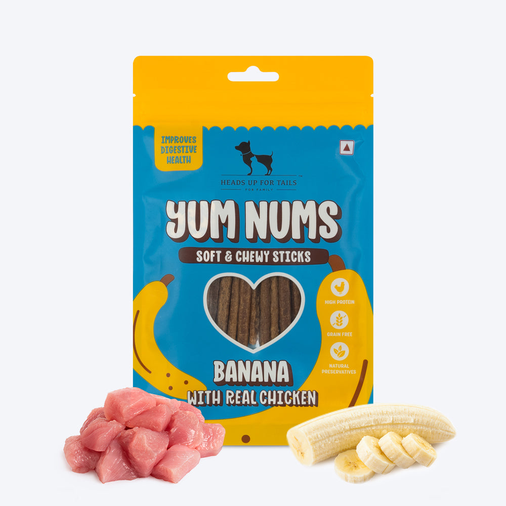 HUFT Wholesome Chicken, Brown Rice Food & Yum Nums Banana Treats Combo For Dog