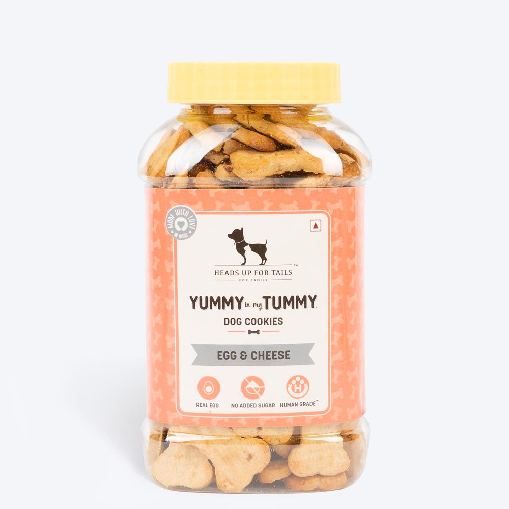 HUFT Sara's Chicken Bone Broth & YIMT Egg & Cheese Biscuits Combo For Dogs - Heads Up For Tails