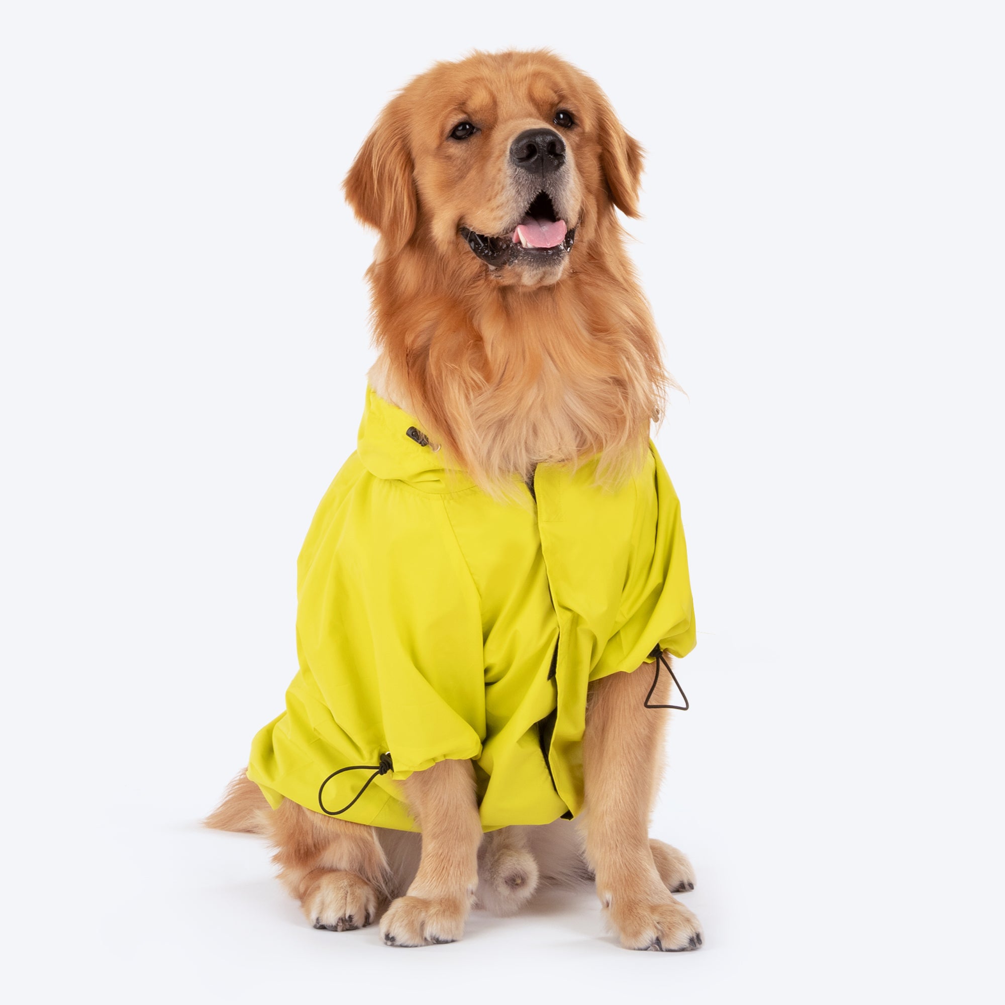 HUFT Magical Mist Dog Raincoat Made to Order Heads Up For Tails