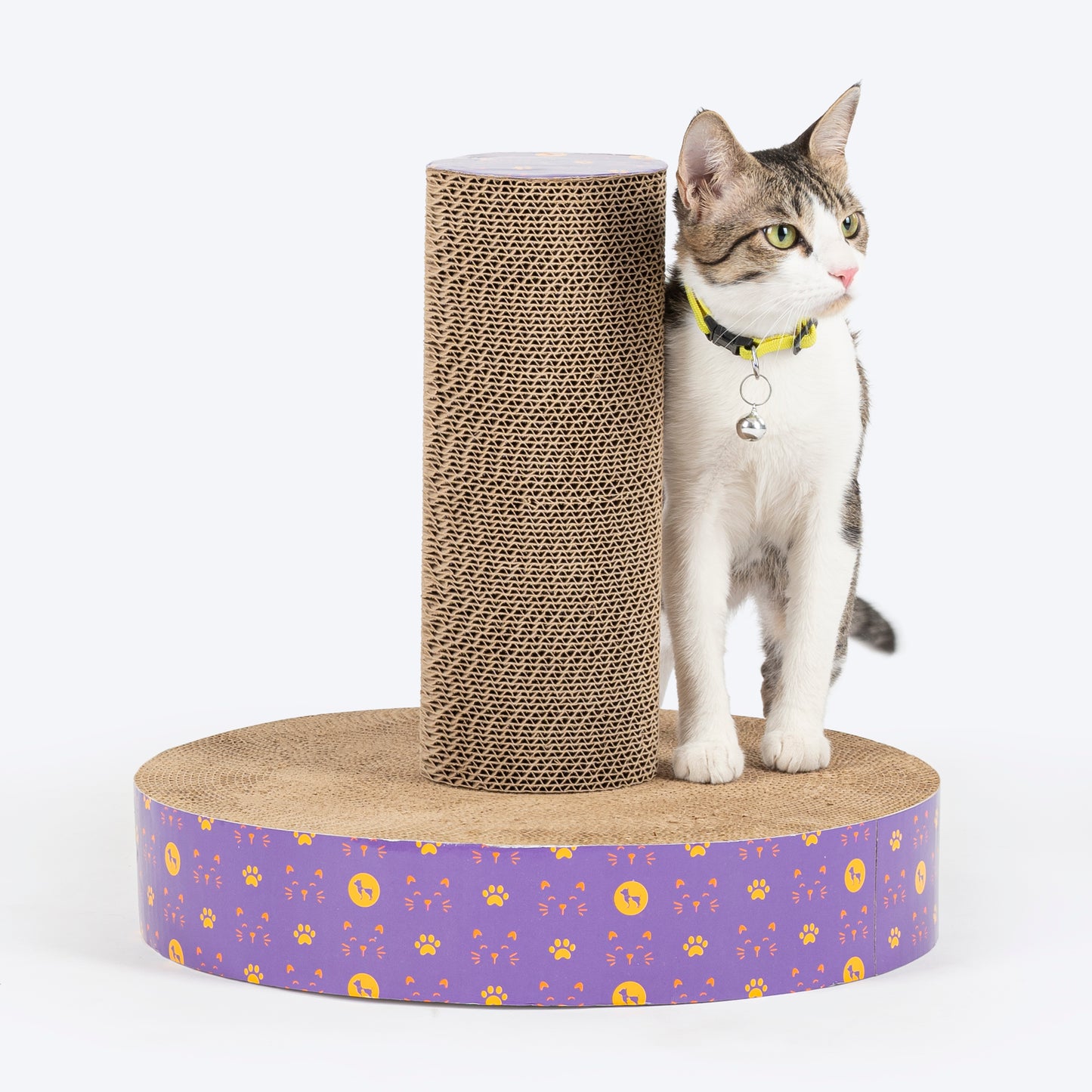 HUFT Scratch-N-Stretch Scratching Post Cat Scratcher - Violet