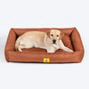 TLC Nesting Nook Bed For Dog - Rust - Heads Up For Tails