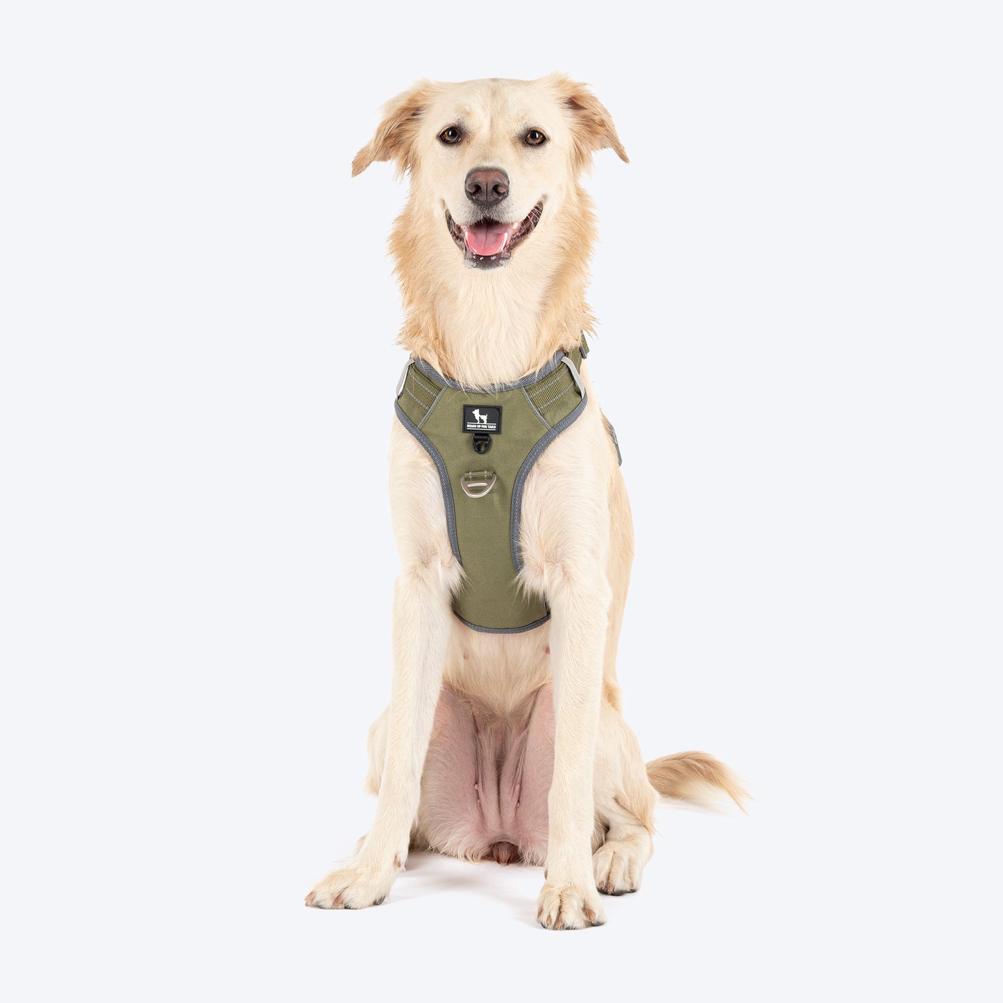 HUFT Active Pet Dog Harness - Olive Green