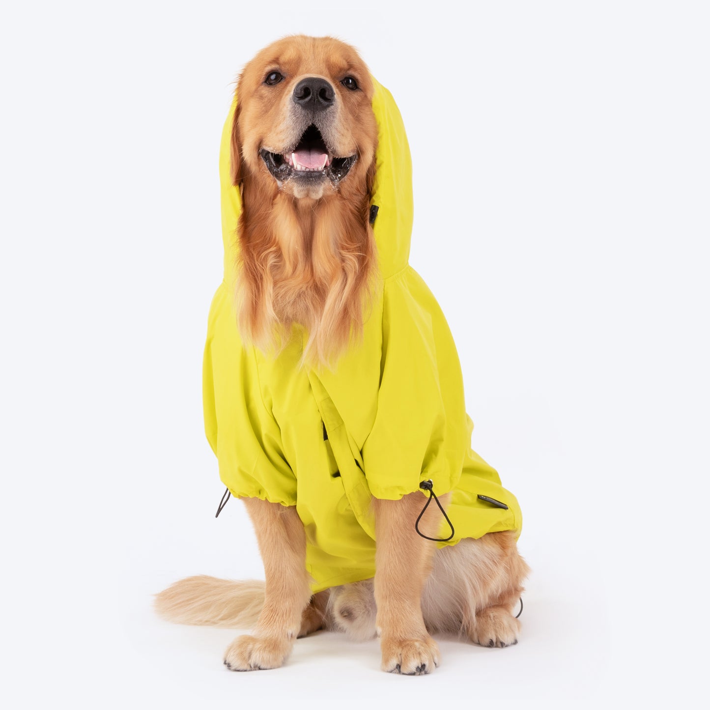 HUFT Customised Magical Mist Dog Raincoat_01