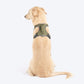 HUFT Active Pet Dog Harness - Olive Green