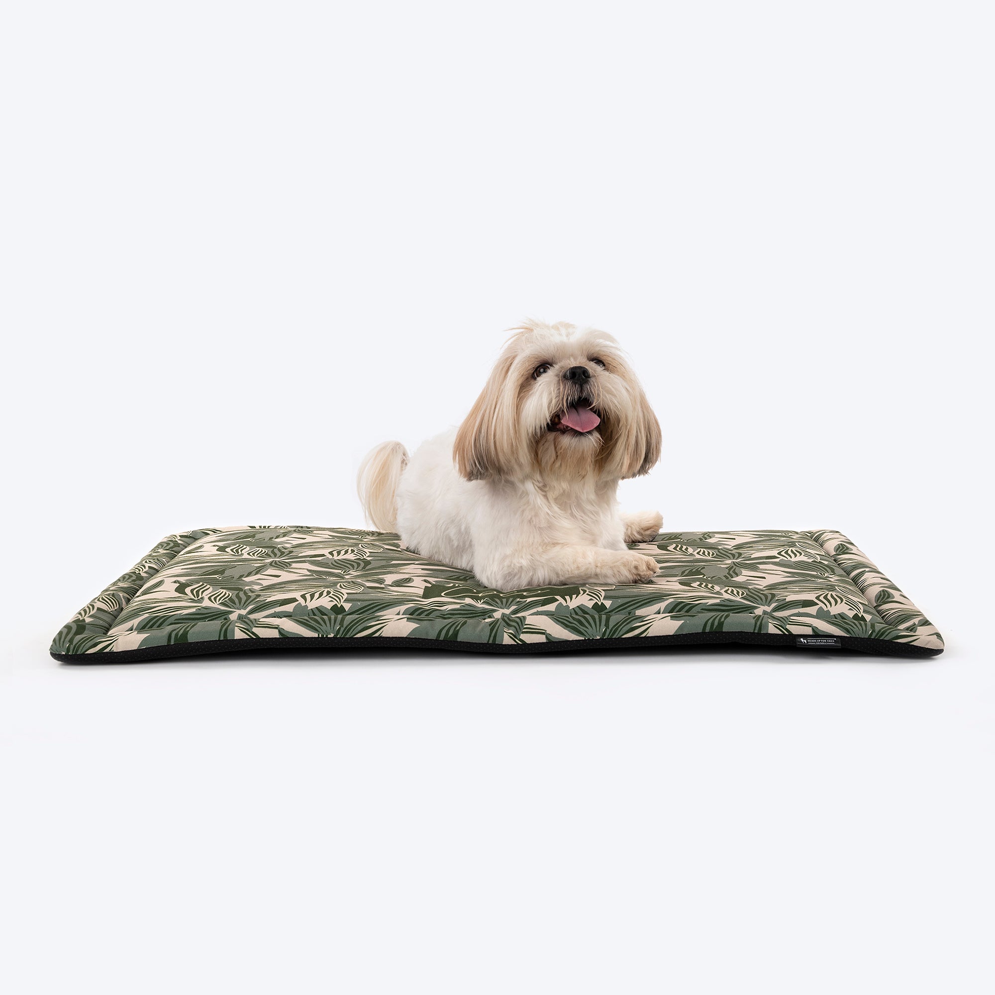 Cb2 dog clearance bed