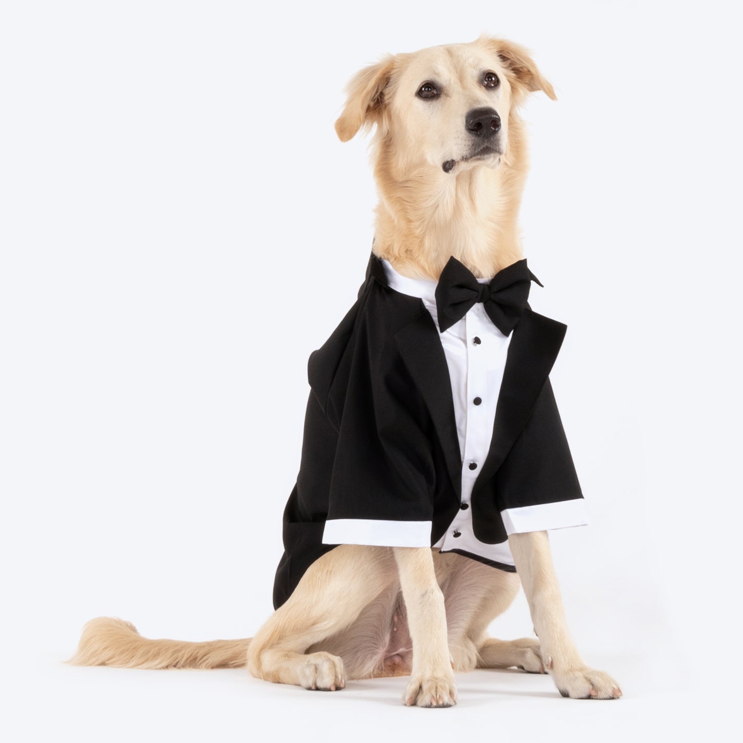 HUFT Personalised Tuxedo for Dogs_01