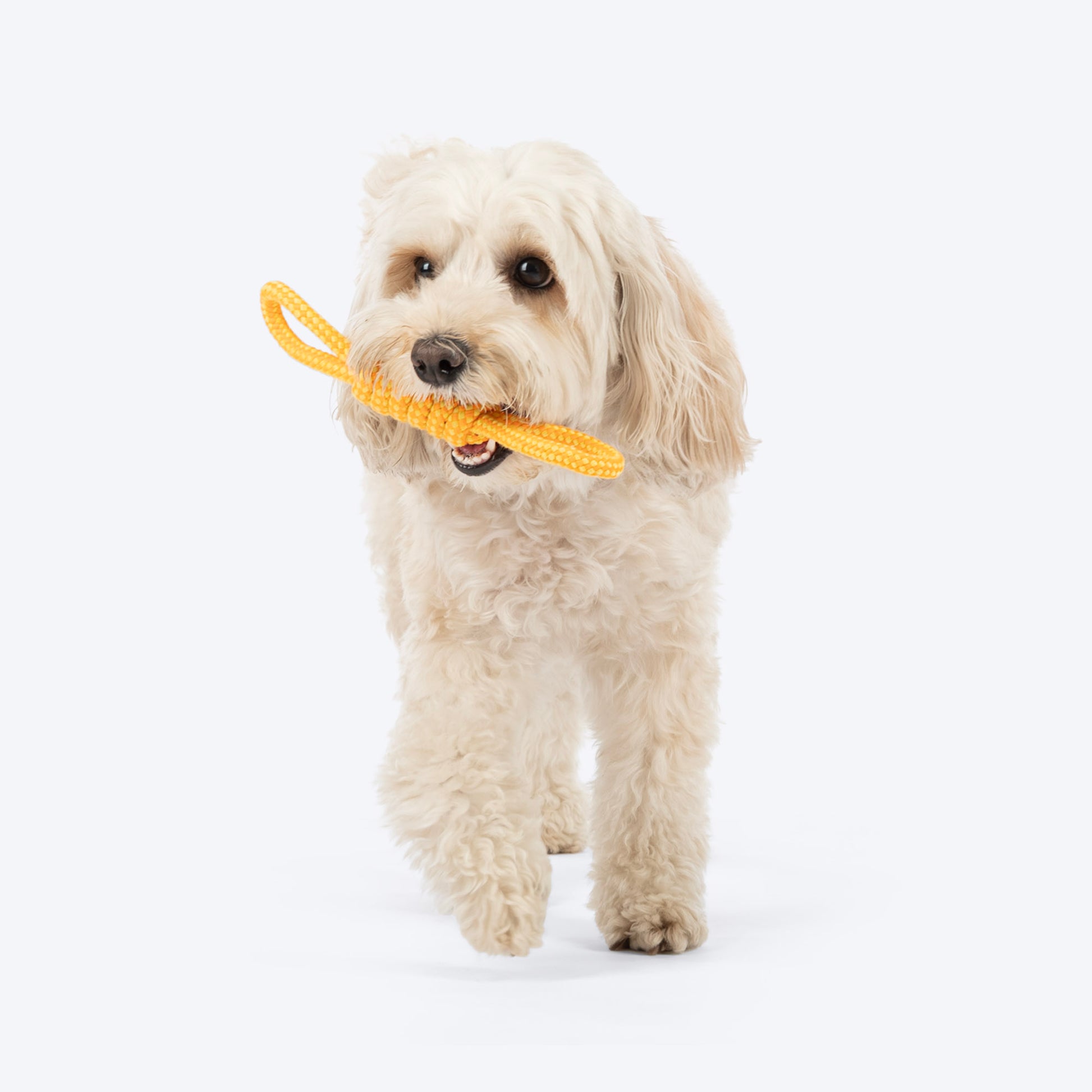 Dash Dog Tugster Rope Toy For Dog - Yellow & Orange - Heads Up For Tails