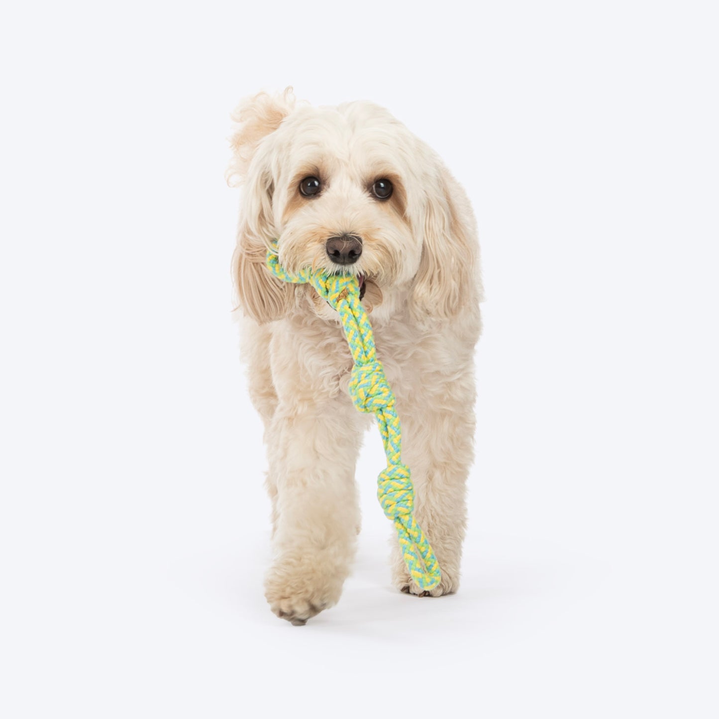 Dash Dog Tuff Tugger Rope Toy For Dog - Multicolor - Heads Up For Tails