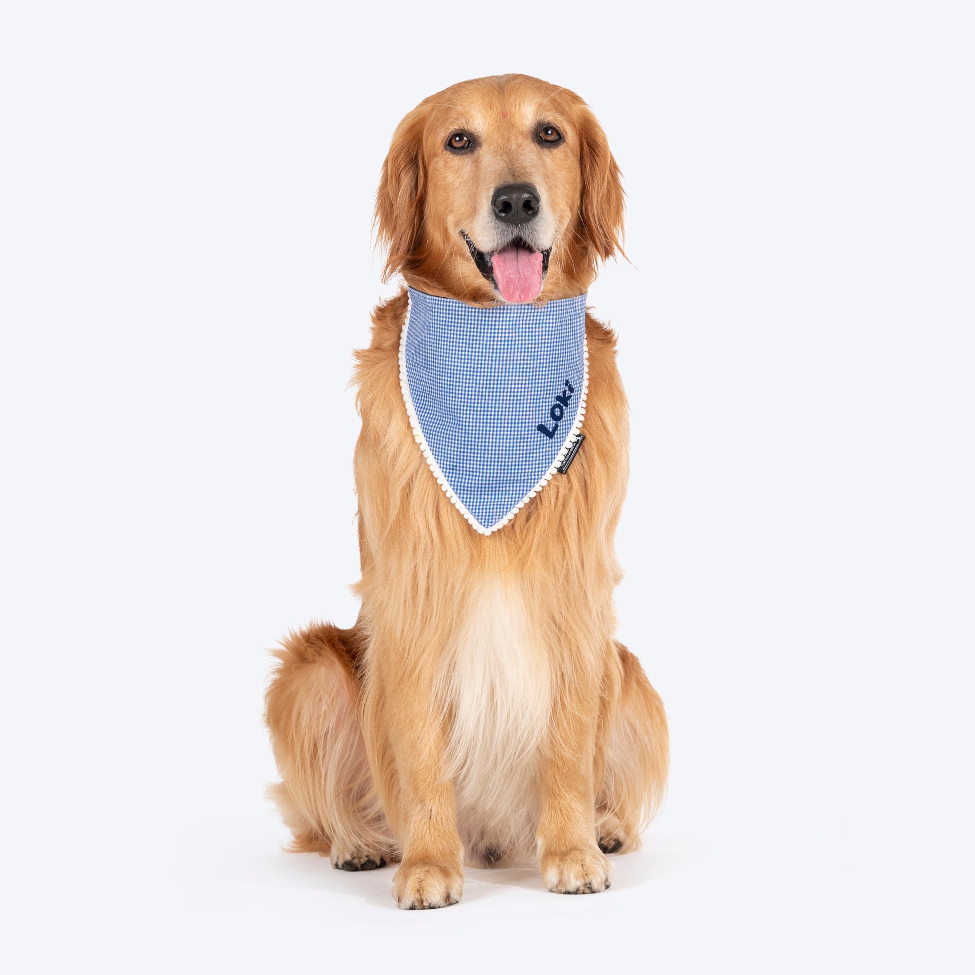 HUFT Personalised Gingham Checks Dog Bandana - Blue_01