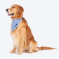 HUFT Personalised Gingham Checks Dog Bandana - Blue_02