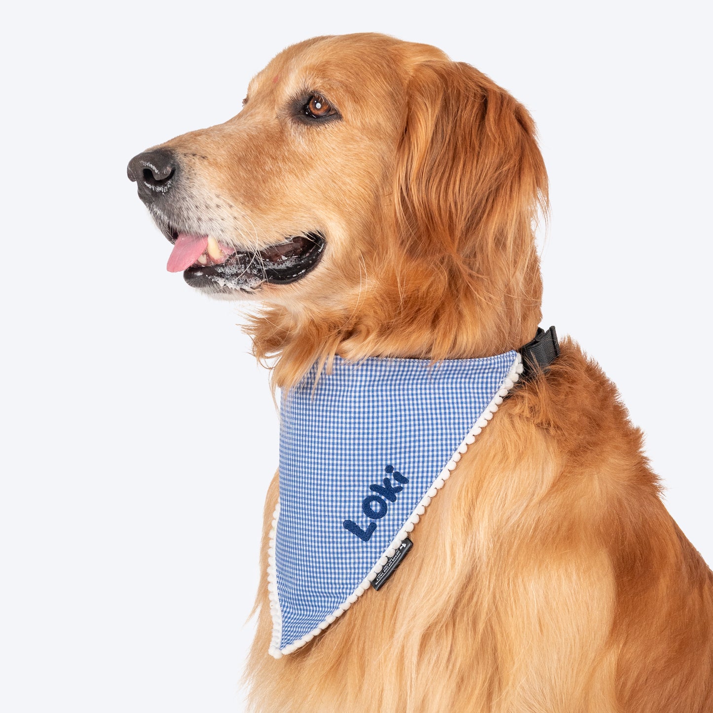 HUFT Personalised Gingham Checks Dog Bandana - Blue_03