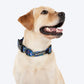 HUFT Scribble Dribble Collar For Dog - Blue