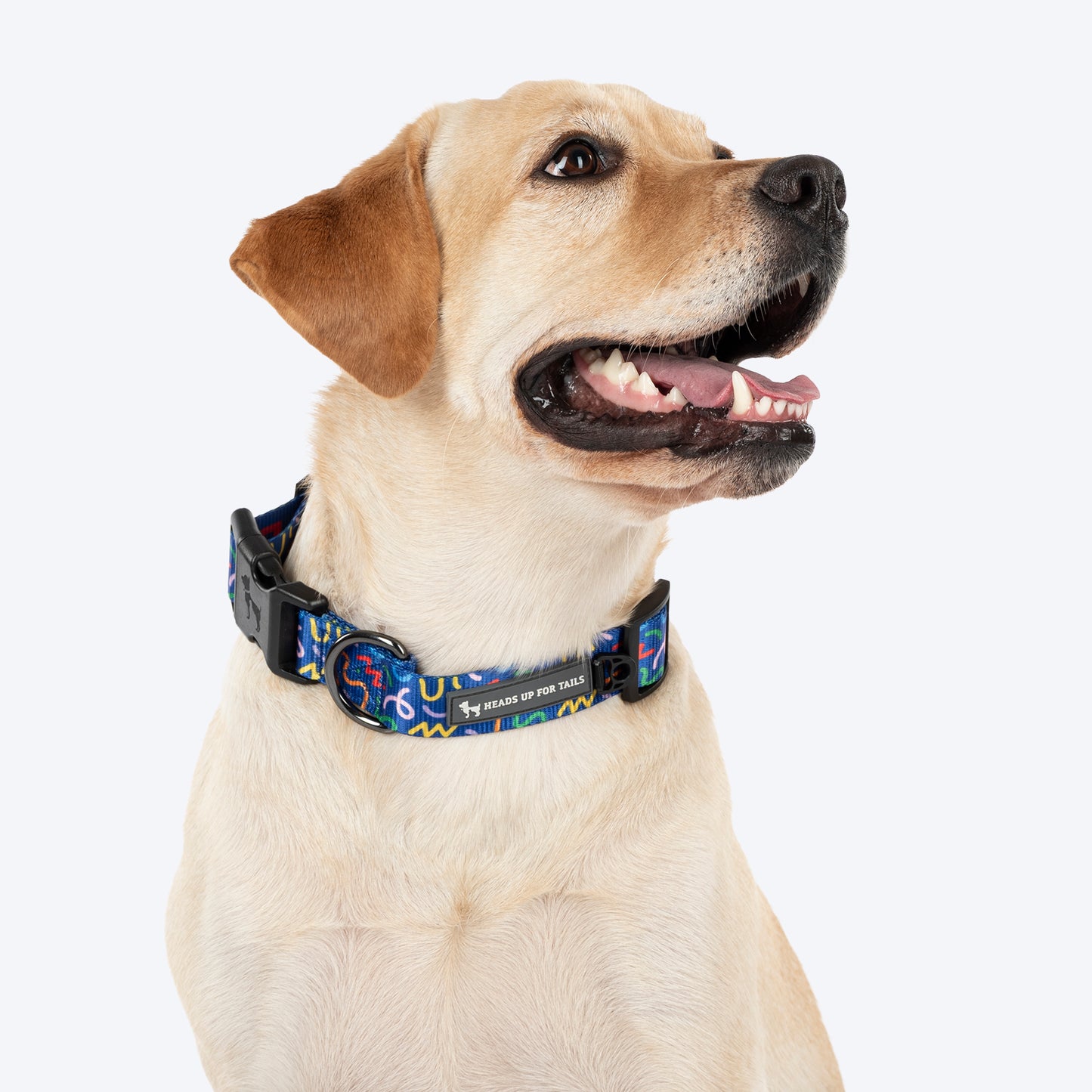 HUFT Scribble Dribble Collar For Dog - Blue