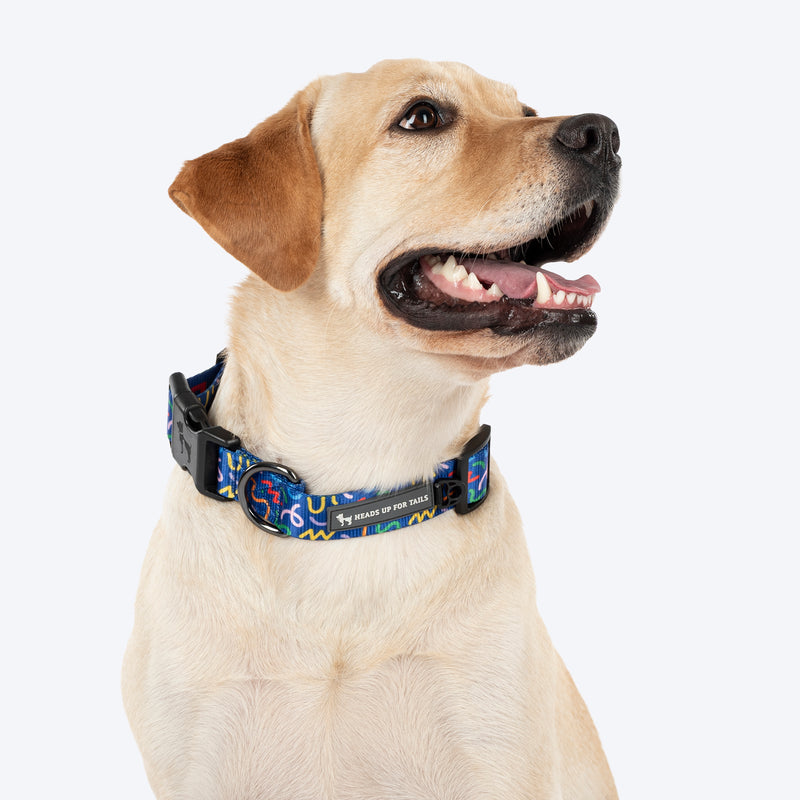 HUFT Scribble Dribble Collar For Dog - Blue - Heads Up For Tails