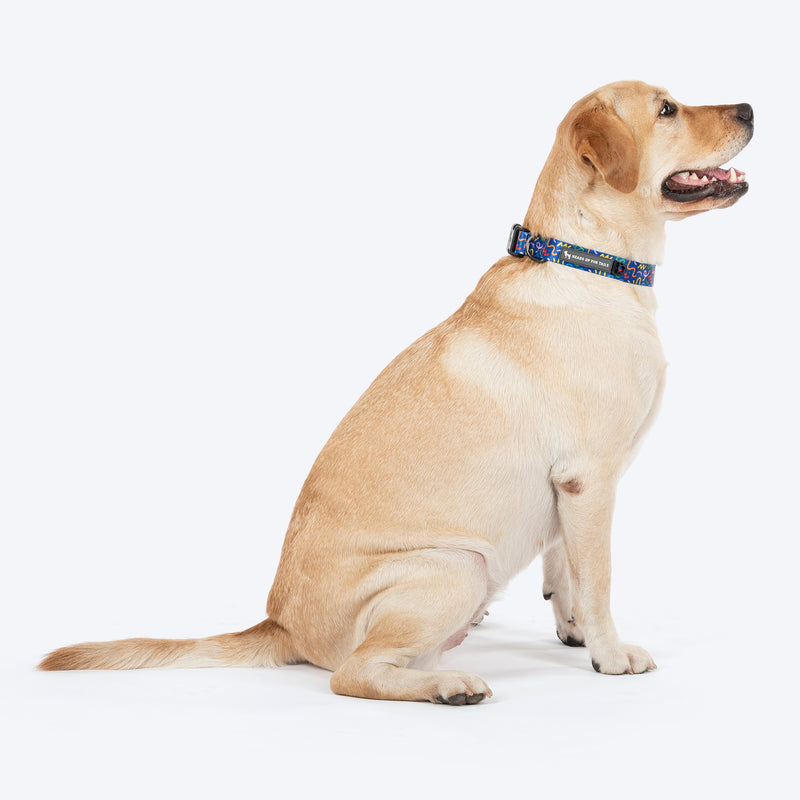 HUFT Scribble Dribble Collar For Dog - Blue - Heads Up For Tails