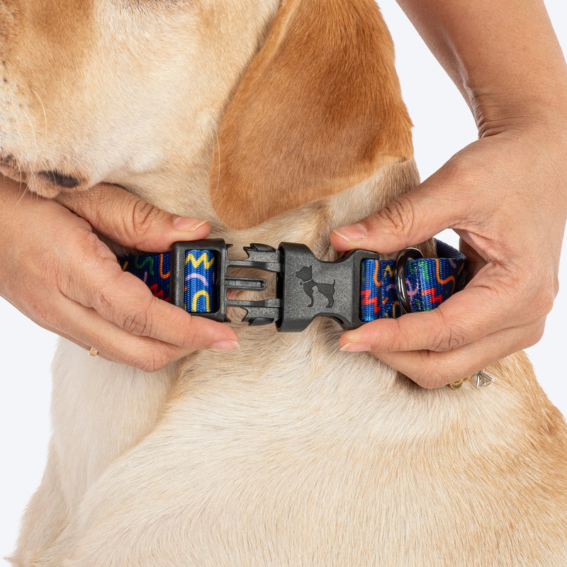 HUFT Scribble Dribble Collar For Dog - Blue - Heads Up For Tails