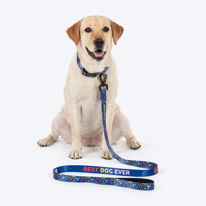 HUFT Scribble Dribble Leash For Dog – Blue - Heads Up For Tails