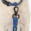 HUFT Scribble Dribble Leash For Dog – Blue - Heads Up For Tails