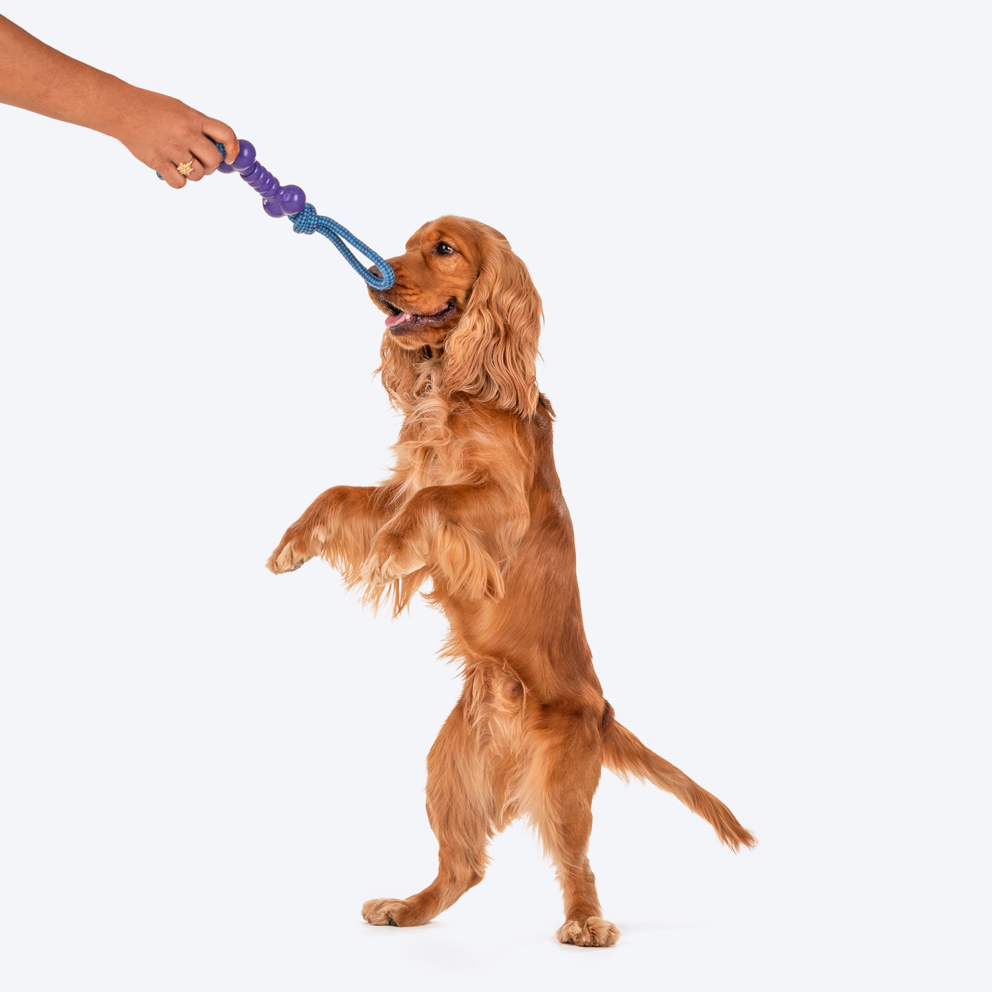 Dash Dog Double Twist Toy For Dog_02