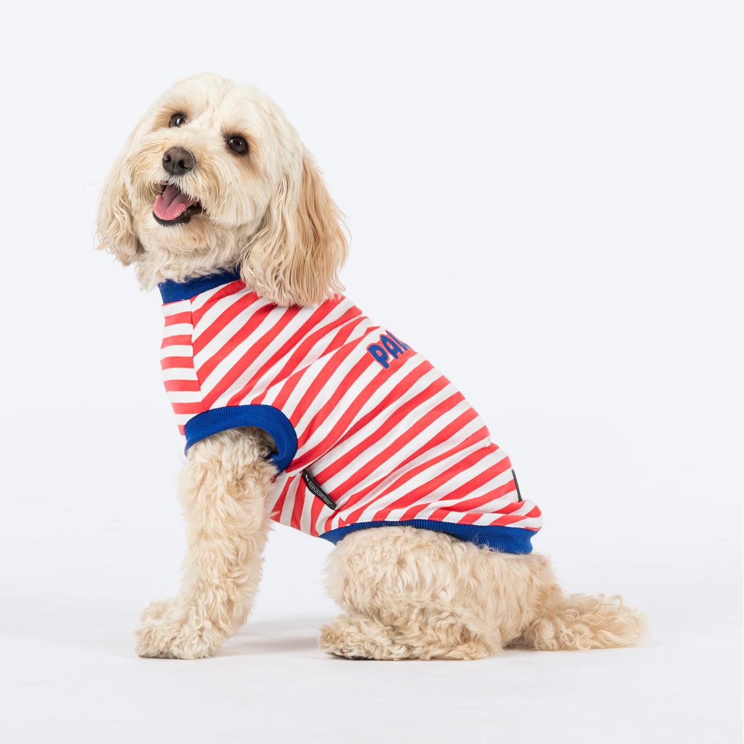 HUFT Pawfect Striped T-Shirt For Dog - Red & White