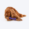 Dash Dog Triple Twist Toy For Dog_02