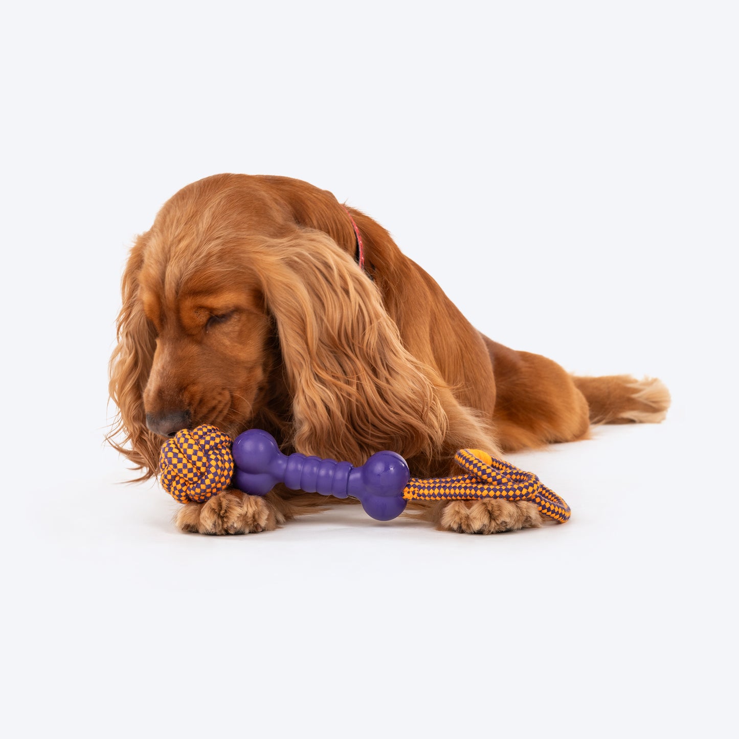 Dash Dog Triple Twist Toy For Dog_02