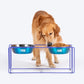 Dash Dog Rainbow Rush Elevated Double Diner With Steel Bowl Inserts For Dog - Violet