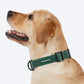 HUFT Classic Collar For Dog - Green