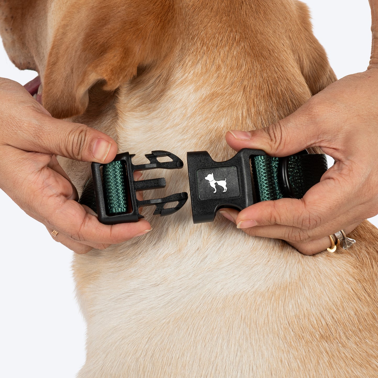 HUFT Classic Collar For Dog - Green