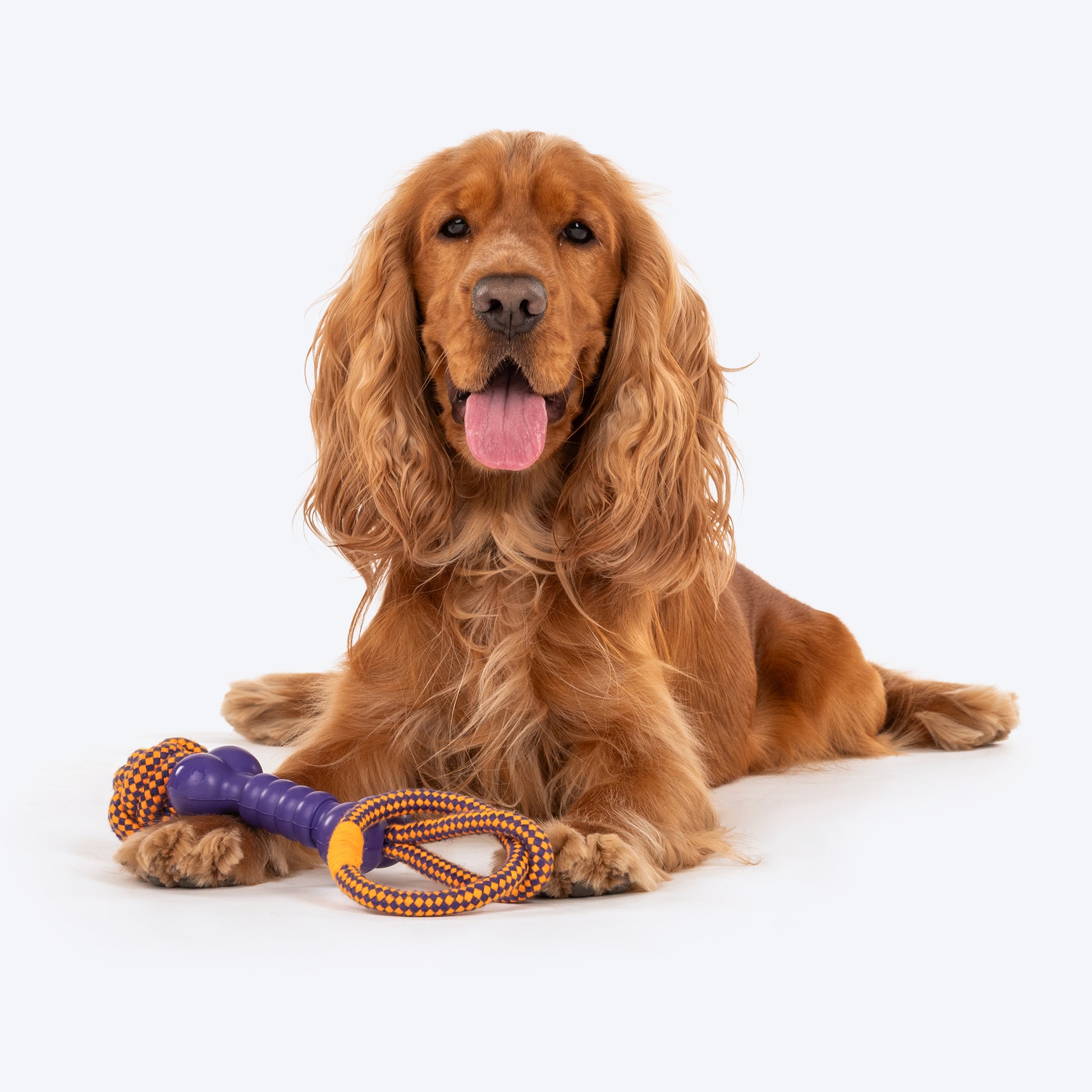 Dash Dog Triple Twist Toy For Dog_03