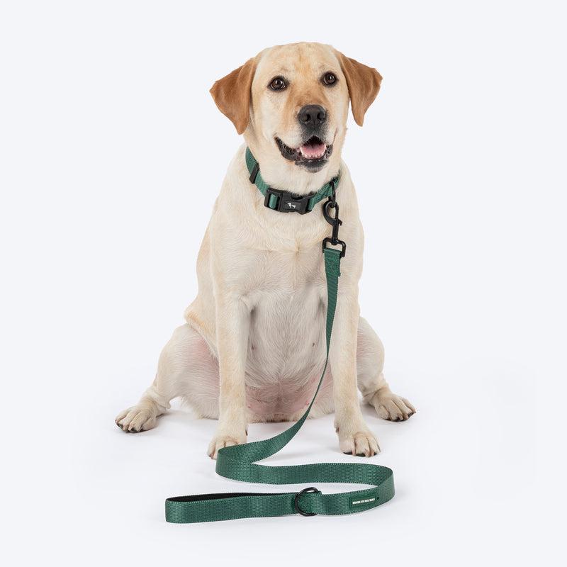 HUFT Classic Leash For Dog - Green - Heads Up For Tails