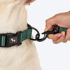 HUFT Classic Leash For Dog - Green - Heads Up For Tails
