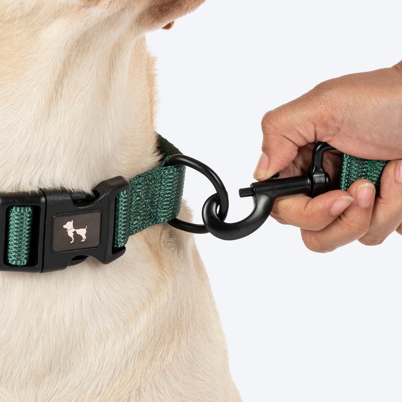 HUFT Classic Leash For Dog - Green - Heads Up For Tails