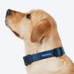 HUFT Classic Collar For Dog - Navy