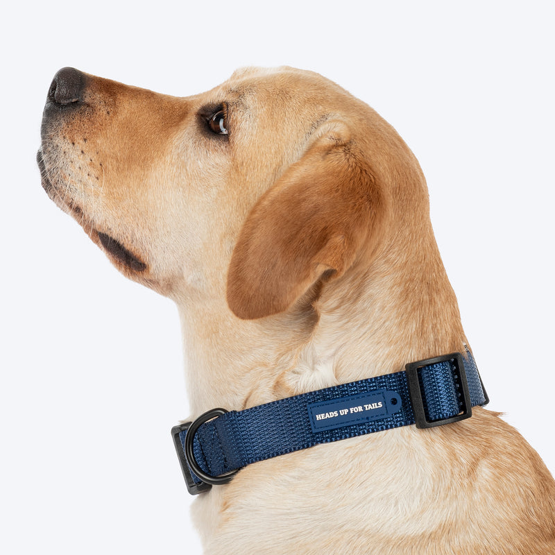 HUFT Classic Collar For Dog - Navy - Heads Up For Tails
