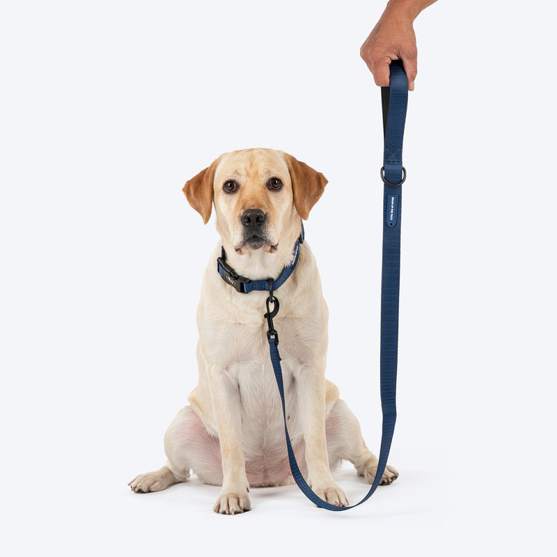 HUFT Classic Leash For Dog - Navy - Heads Up For Tails
