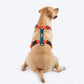 HUFT Classic H - Harness For Dog - Rust & Blue