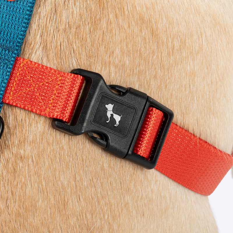 HUFT Classic H - Harness For Dog - Rust & Blue - Heads Up For Tails
