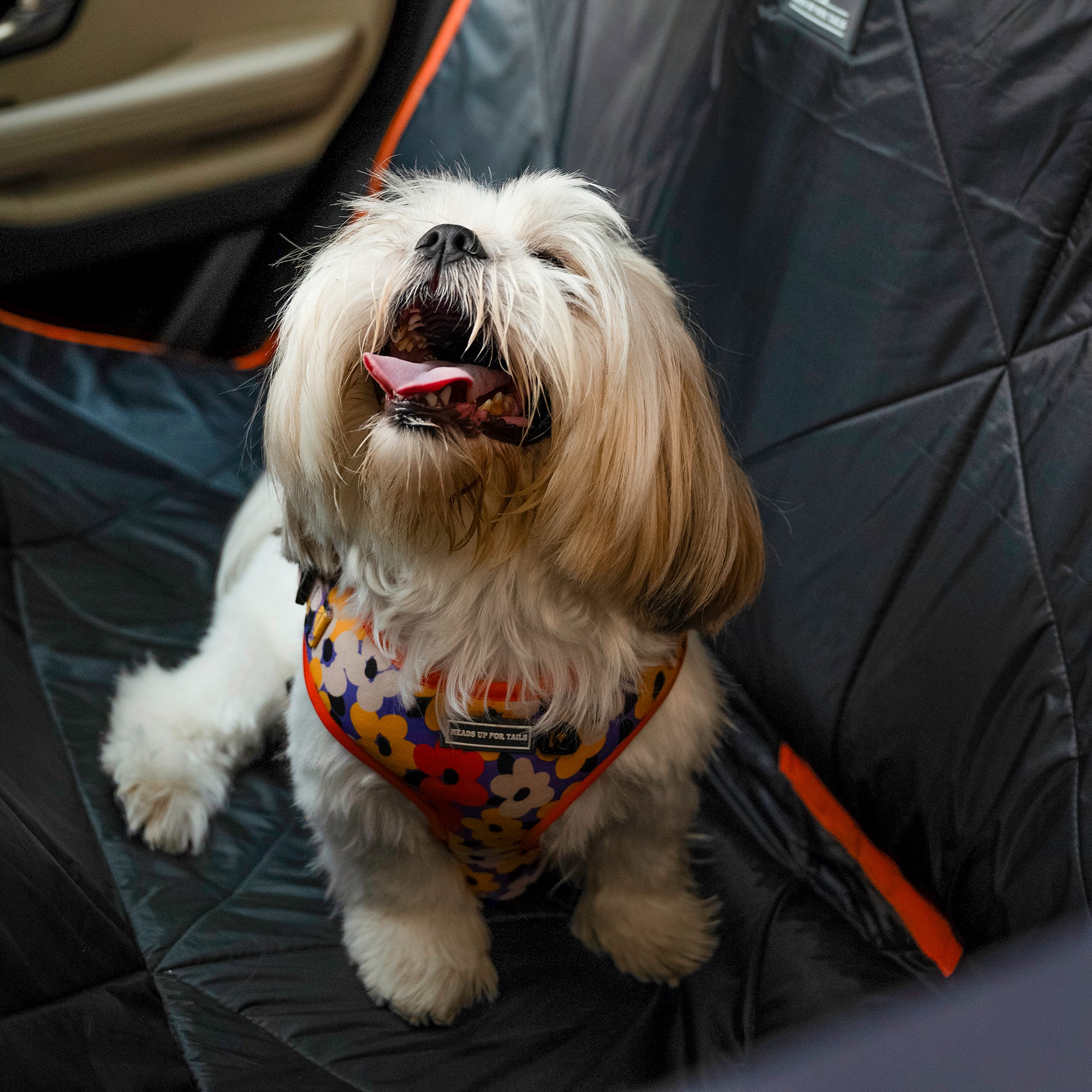 HUFT Car Seat Cover For Dogs Cats Heads Up For Tails