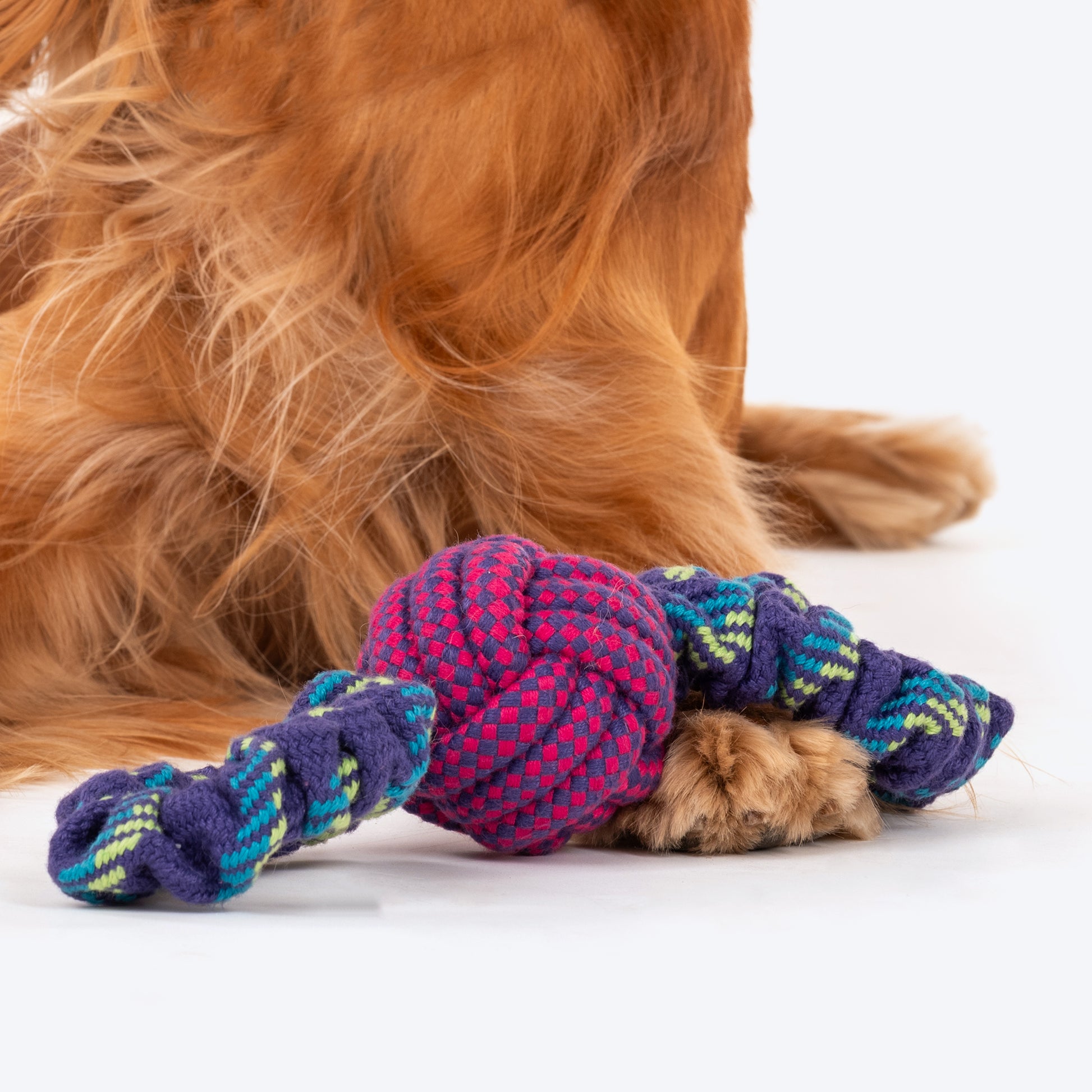 Dash Dog Bungee Double Tug Toy For Dog - Blue_03