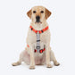 HUFT Classic H - Harness For Dog - Rust & Blue